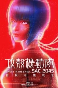 Ghost in the Shell: SAC_2045: Guerra sostenible [Spanish]